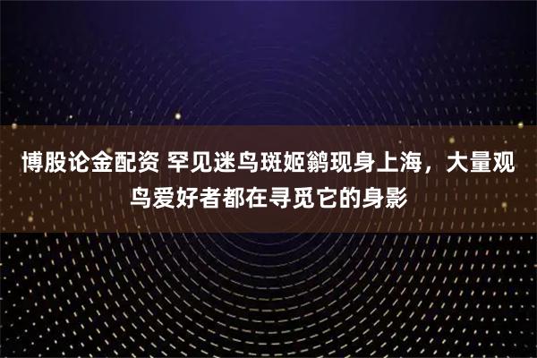 博股论金配资 罕见迷鸟斑姬鹟现身上海，大量观鸟爱好者都在寻觅它的身影